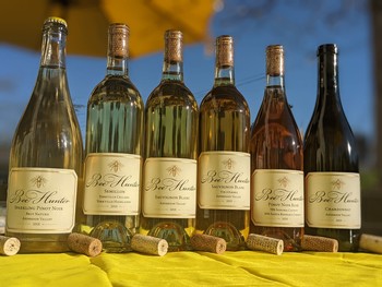 White Wine Festival 6pk